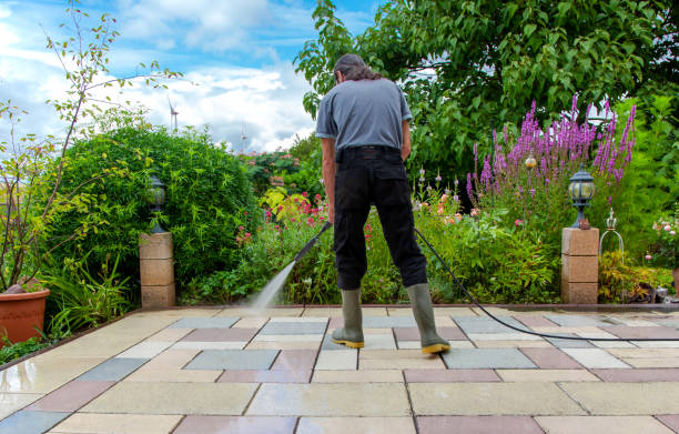 Best Sidewalk and Walkway Cleaning  in Stockton University, NJ